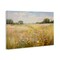 Stupell Industries Faded Wildflower Field Canvas Wall Art Design by LSR Design Studio